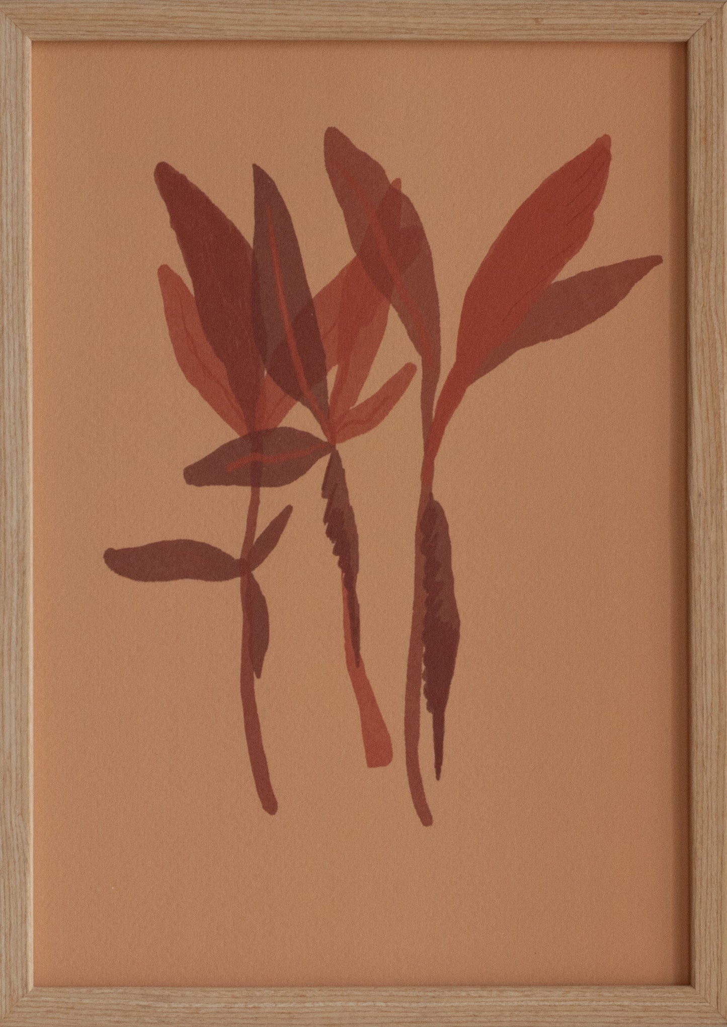 Oegandese Bananenplant